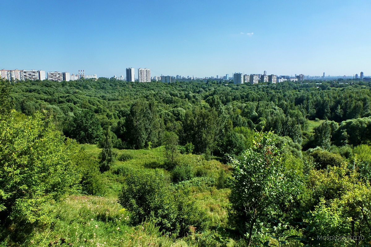 Сходненский ковш в районе Южное Тушино