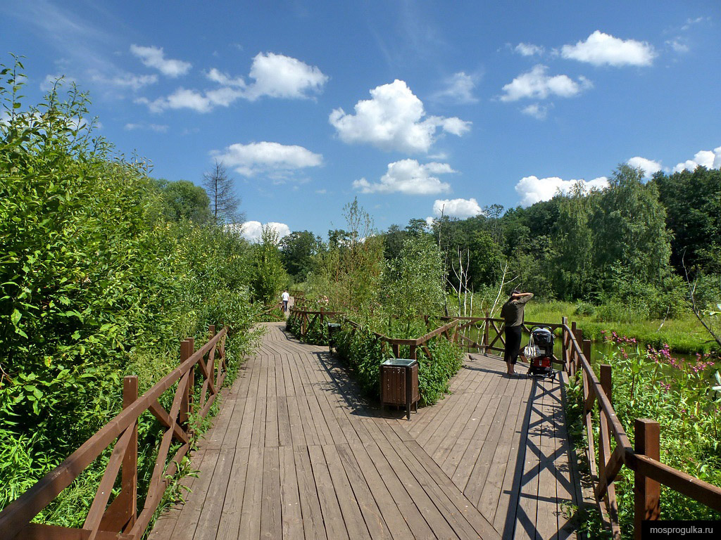 Экотропа у хатки бобров, Покровское-Стрешнево