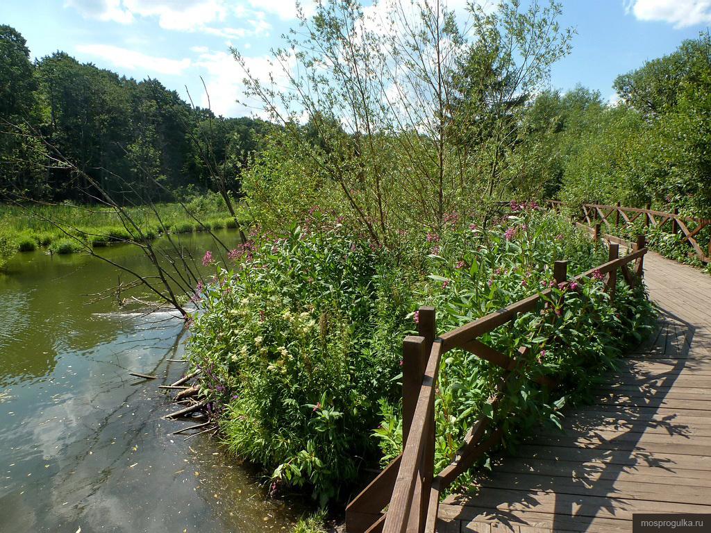 Бобровая хатка, Покровское-Стрешнево